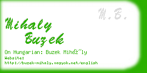 mihaly buzek business card